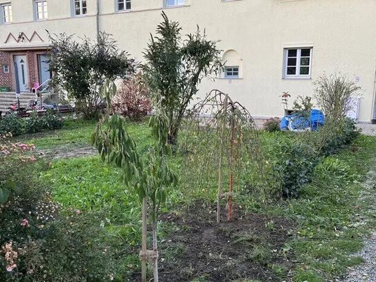 Zwei Zimmer in München oder ein ganzes Haus im Grünen!