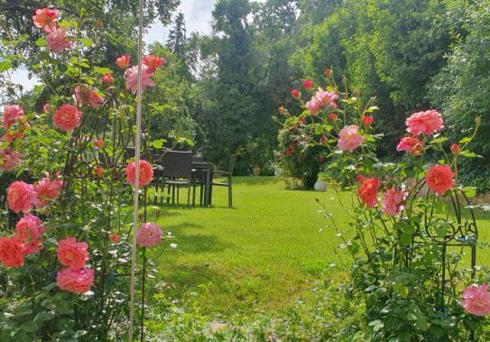 ***Gartenidylle an der Fulda*** Repräsentatives Zweifamilienwohnhaus mit Garage in interessanter Südhanglage vo...