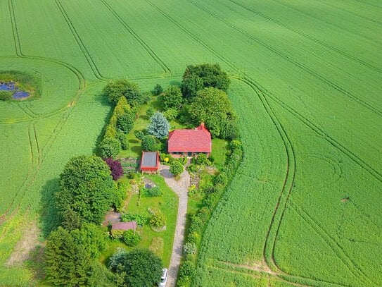 Bauernhaus in Alleinlage - nahe Stralsund