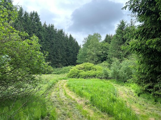 Landwirtschaftliche Fläche/Waldfläche in Waldmünchen