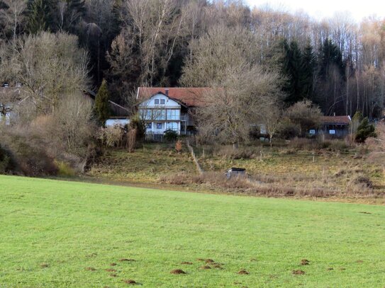 Bauernhaus mit Nebengebäude und Wald in ruhiger und idyllischer Waldrandlage mit Aussicht Nähe Kirchberg im Wald