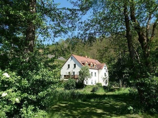 ++ "UNIKAT & NATUR PUR" ++ EINMALIGES WOHNENSEMBLE auf ca. 3000m² am Wald & Wasser, viel Grün & Wiesen!++