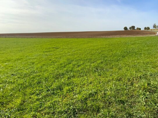 Erschlossenes Baugrundstück in Höttingen zu verkaufen