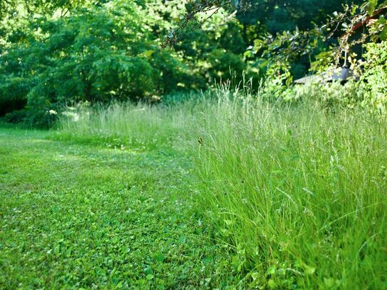 430m² großes geteiltes Grundstück in zentraler Lage