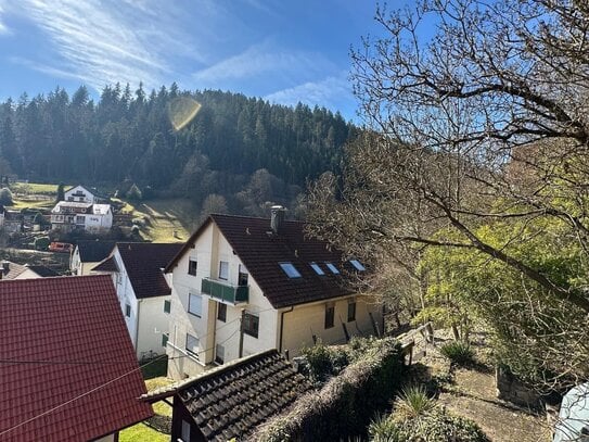 Schöne gut vermietete2 Zimmerwohnung in Bad Liebenzell