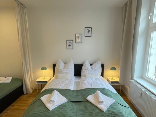 Luxus-Apartment | Zentrum | HBF | Vollausstattung