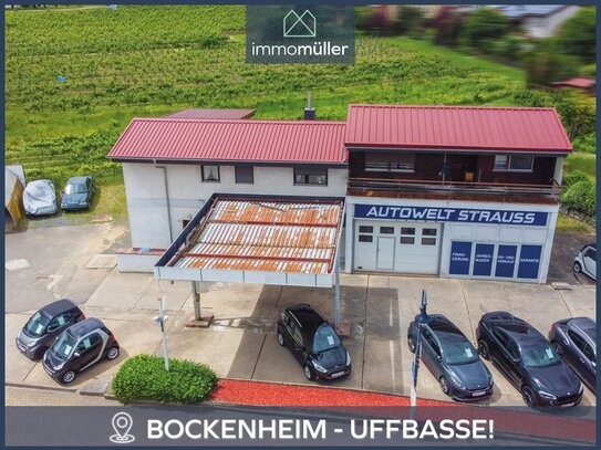 Wohnhaus mit Büro, kleiner KFZ Werkstatt und großem Grundstück direkt an der Weinstraße!