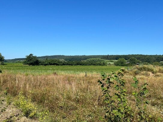 Idyllischer Bauplatz mit Blick auf Wiesen und Wälder in Hirschaid/Erlach