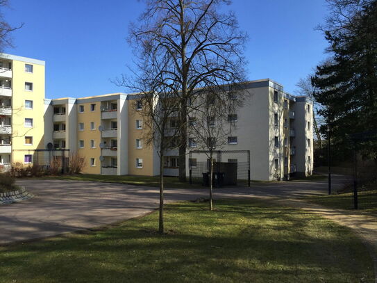 Renovierte 3-Zimmer-Wohnung mit Balkon in Goslar