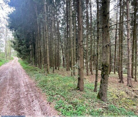 Land/Forstwirtschafliches Objekt in Pfaffenhofen an der Ilm / Tegernbach