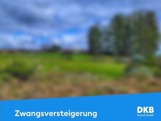 Landwirtschaftsfläche zum kleinen Preis im Dresdner Westen