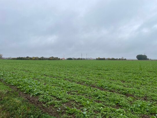 Ackerland ist begrenzt! 10.506 m² bei Haidlfing/Haidenkofen zu verkaufen