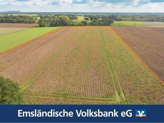 Rd. 3,2 Hektar Ackerland in Rhede (Ems) zu verkaufen