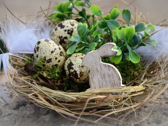 Ostern im neuen Familiennest - 4 Zi.+ großer Empfang