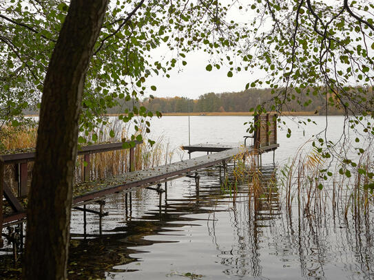 Raus aus der Stadt, rein ins Paradies - Naturidylle am Rahmersee