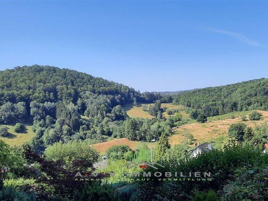 +++Harz+++MFH mit 3 Wohneinheiten, vermietet