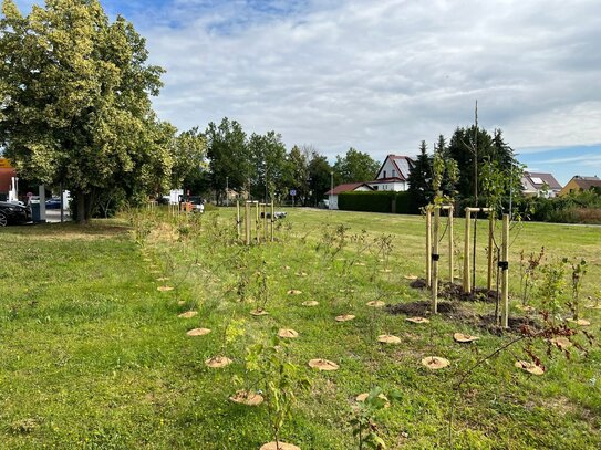 Wohngebiet "Am Paradiesweg" - Noch 3 freie Grundstücke - sofort bebaubar