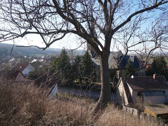 In idylllischer Ortsrandlage - Baugrundstück direkt am "Obstgarten" Thüringens in Kleinfahner