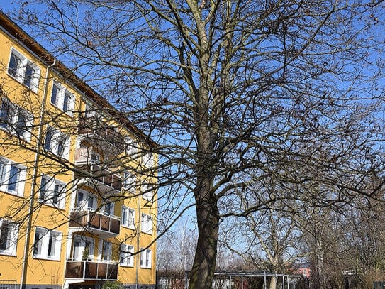 Hier lebt es sich gemütlich! Jetzt mit Balkon!