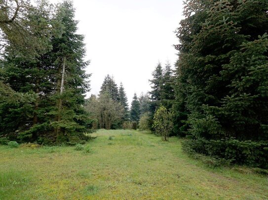 Sehr ruhig gelegen, Renovierungsbedürftiges EFH auf 3600m² zum Teil bebaubarem Grundstück