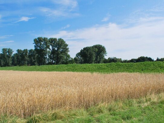 *Grundstücksberatung am Sonntag, den 22.09., von 13:30 - 14:00 Uhr, Georg-Zapf-Straße 2a in 51061 Köln*