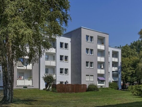 Sofort bezugsfrei! Helle 3 ZKB-Balkon im sanierten Mehrfamilienhaus zentral gelegen in Bürgerfelde