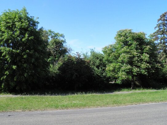 Bauen in schöner ruhiger Oderbruchlandschaft (bauträgerfrei)