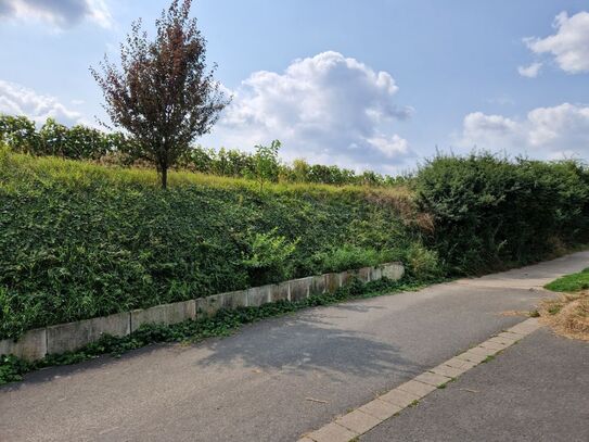 Im Mittelpunkt von Rheinhessen und in direkter Feldrandlage. 3 ZKBB in Gabsheim zu verkaufen.