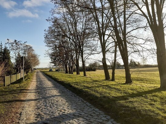 Am Dorfrand in Ruhe! Viel Land soweit das Auge reicht.