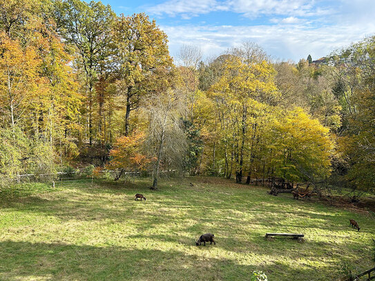 "Wohnen am Landschaftsschutzgebiet Glemswald" 4 Zi.-Wohnung mit großem Süd-/Westbalkon! Sofort frei!