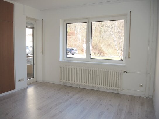 Ruhig gelegenes renoviertes 1,5-Zimmer Apartment ca. 38 m² zu vermieten ++Balkon / kleine Küche / Kellerabteil++