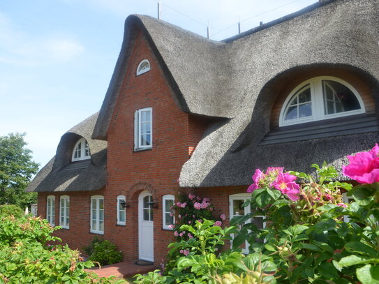 Ferienwohnung unter Reet