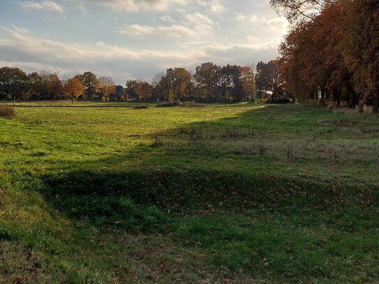 Großes Grundstück in Lentföhrden