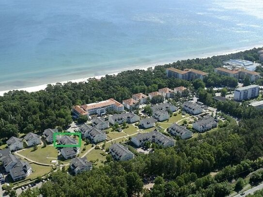 2. Zi. Ferienwohnung hinter der Ostseedüne im Ostseebad Binz / Insel Rügen by Rujana