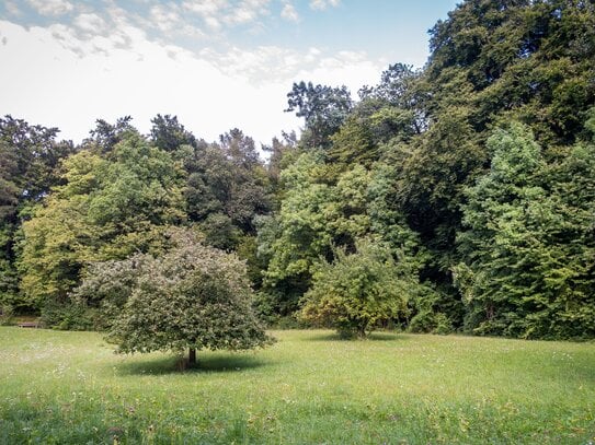 Ruhiges Baugrundstück in Stolzenhagen - Bis 1238 qm in Seenähe und direkt am Wald!