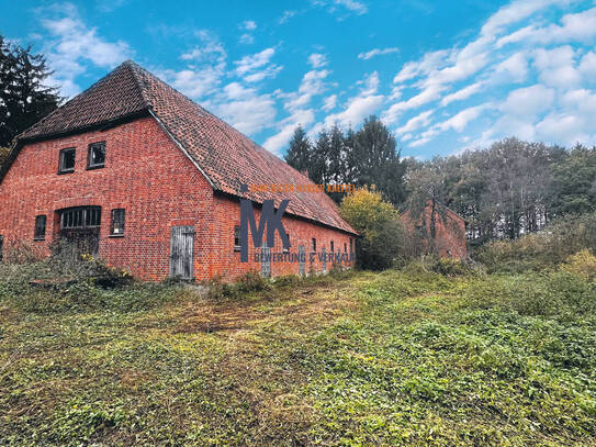 unverbauter Resthof im Teufelsmoor zu verkaufen