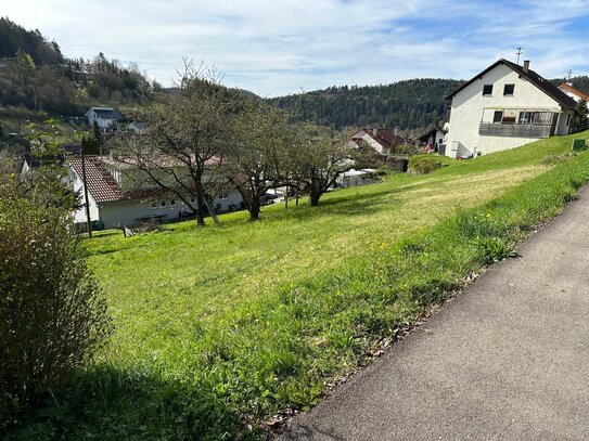 Wunderschönes Baugrundstück am Ortsrand von Oberschwandorf