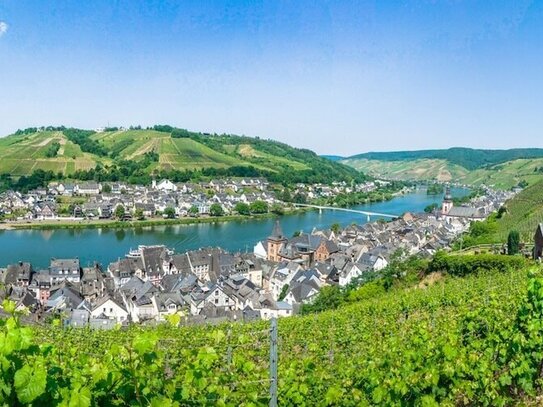 Weinberggrundstück in Zell (Mosel)