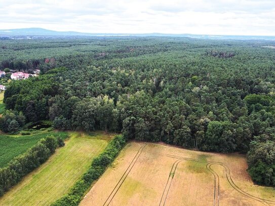 6,3 ha Waldflächen