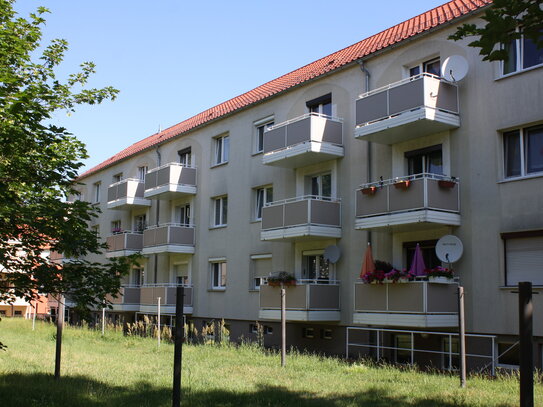 Ihre neue Wohnung wartet auf Sie in der Anhaltsiedlung in Bitterfeld !