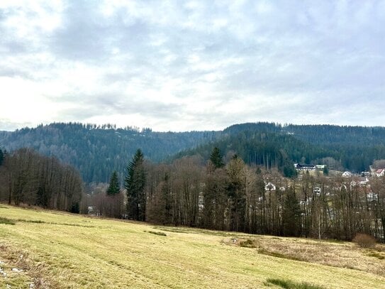 Bauträgergrundstück in Warmensteinach - Hüttenwiese