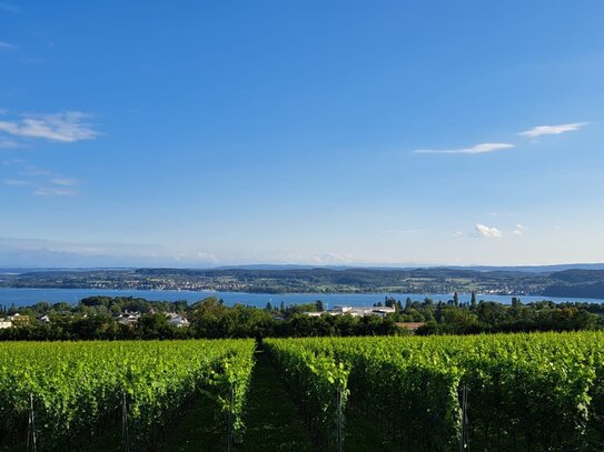 neuer Kaufpreis: grosszügige Eigentumswohnung in Überlingen mit Seeblick Bodensee zu verkaufen