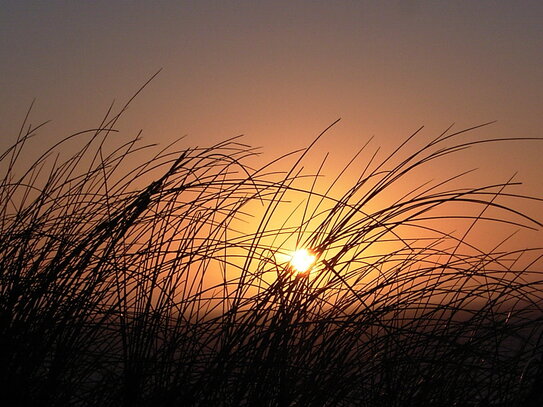 Zwischen Watt und Meer