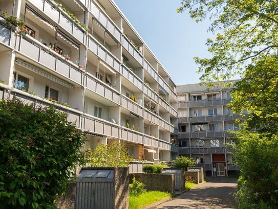 3 Zimmer-Wohnung in Halle nach Ihren Wünschen!