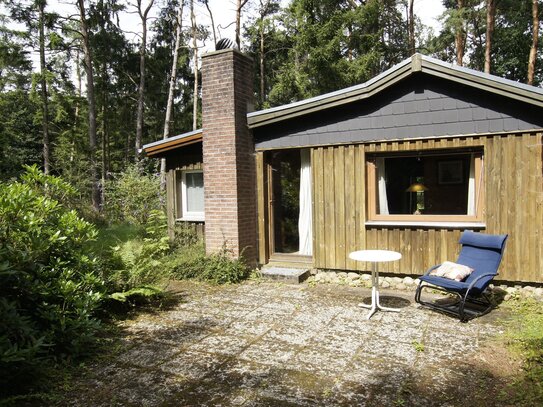 Wochenendgrundstück mit Tinyhouse in der Lüneburger Heide