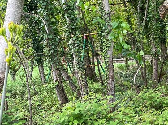 Garten - Landwirtschaftsfläche in schöner Lage