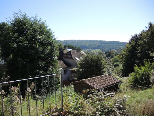 Stadtnahes Einfamilienhaus mit Einliegerwohnung und Garage in Waldrandlage