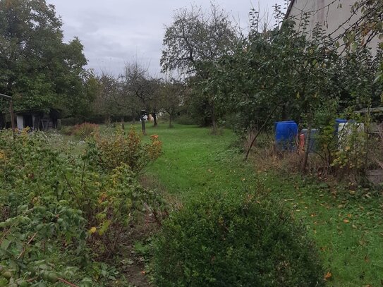 Möglicher Bauplatz auf einem teilbaren, großen Grundstück mit bestehenden Einfamilienhaus in Rannungen