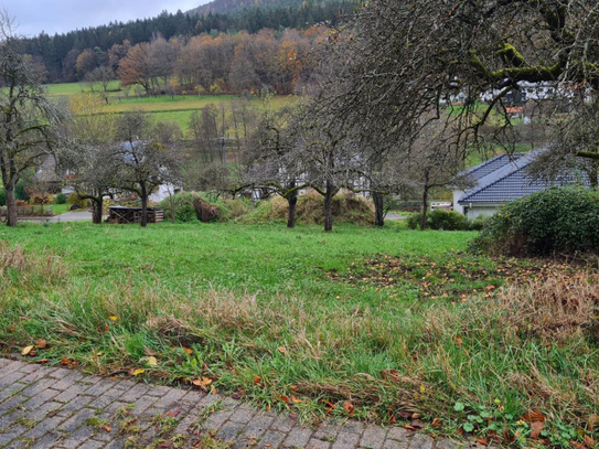 Traumhaftes Baugrundstück in Ortsrandlage von Weilbach OT Weckbach