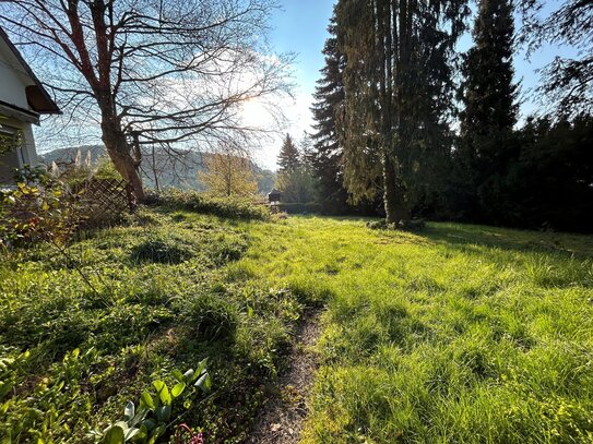 3 Bauplätze in sehr guter Ortsrandlage